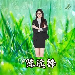 陈远锋